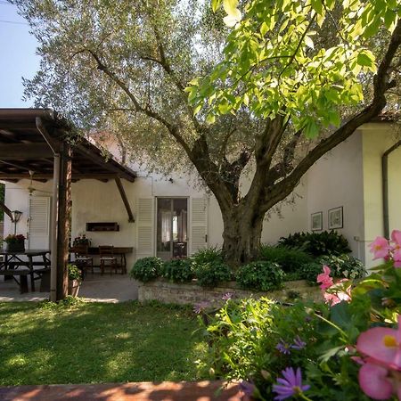 Trecentolivi B&B Montignano Luaran gambar