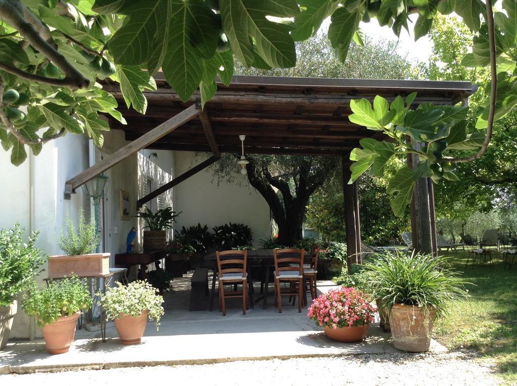 Trecentolivi B&B Montignano Luaran gambar