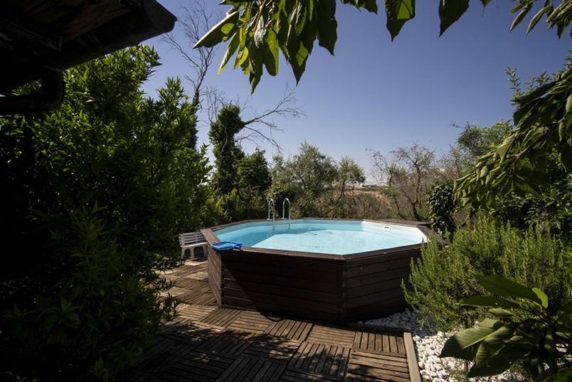 Trecentolivi B&B Montignano Luaran gambar