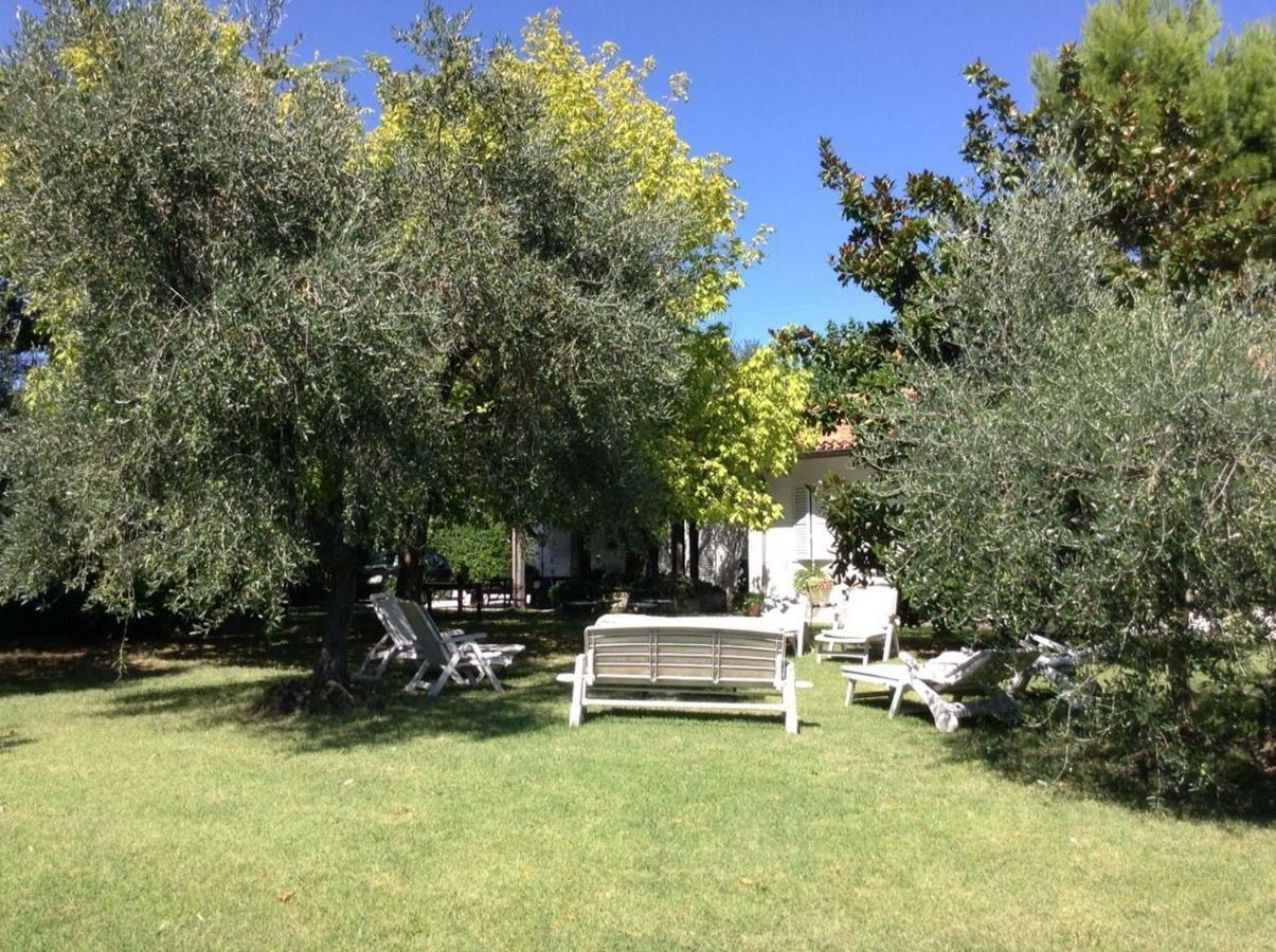 Trecentolivi B&B Montignano Luaran gambar