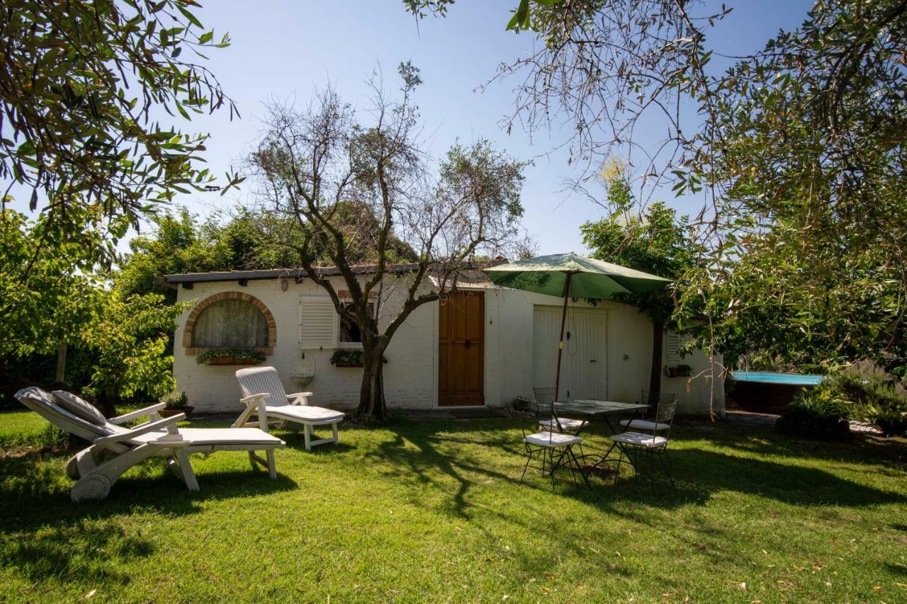 Trecentolivi B&B Montignano Luaran gambar