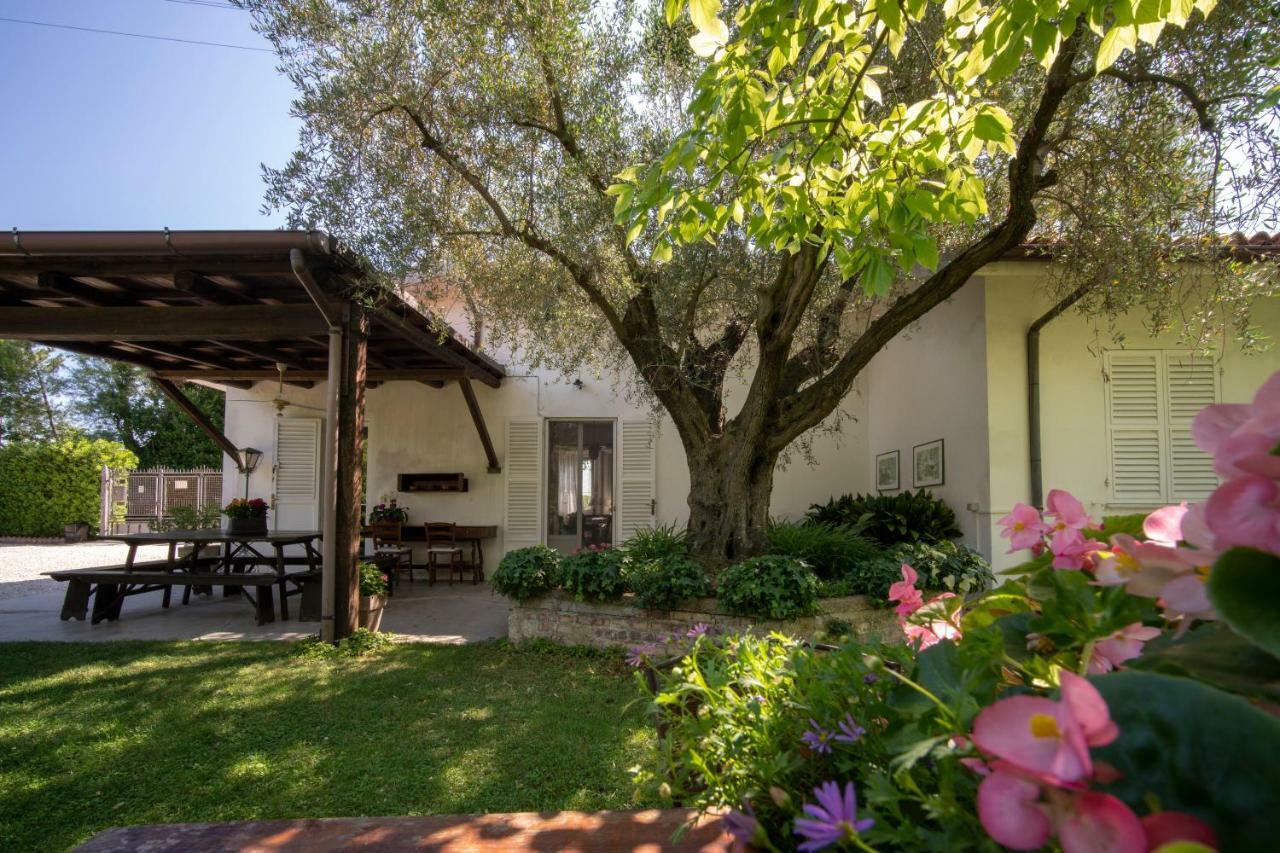 Trecentolivi B&B Montignano Luaran gambar