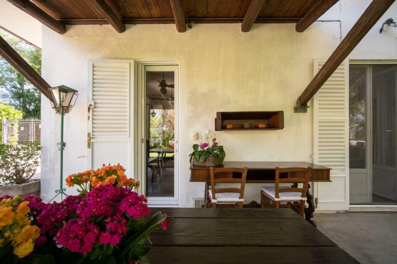 Trecentolivi B&B Montignano Luaran gambar